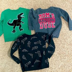 Bundle of 3 fleece boys shirts size 5T.